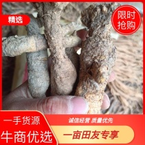 野生南沙参。足干。无硫。纯正野生货。药力足，产地直发