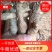 野生南沙参。足干。无硫。纯正野生货。药力足，产地直发