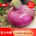 河南洋葱通许精品紫皮洋葱大量供应2022年现货现发量大优