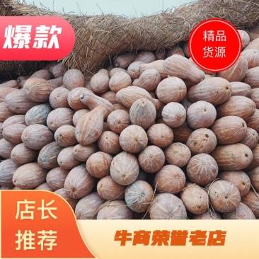 蜜本南瓜头茬千亩基地,工厂货电商货常年大量供应