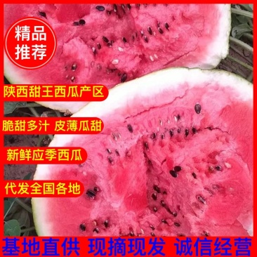 西瓜甜王西瓜，无籽美都西瓜批发，产地直销大量供应