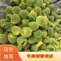 【精选】江苏宿迁沭阳特小凤西瓜大量上市中代发全国欢迎咨询