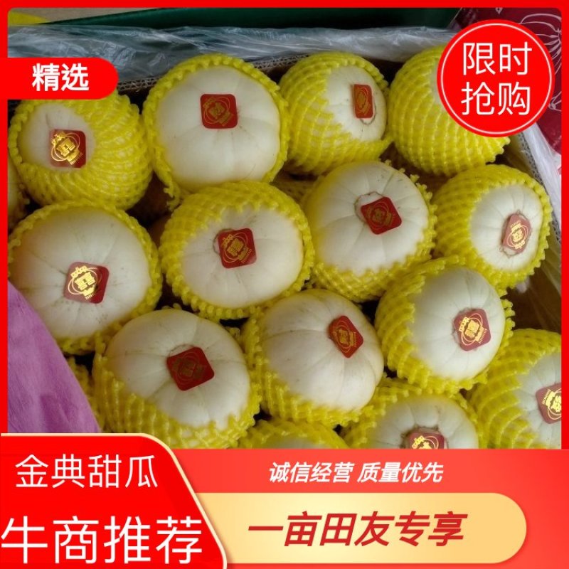 乐亭甜瓜大量货源，质量好口感甜，需要的联系我