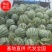 安徽精品西瓜美都西瓜现摘现发代发全国