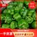 辽宁产地青椒，太空椒，量大价格不高，可长期合作