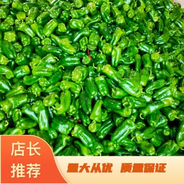 太空椒大量上市了(奥黛丽)