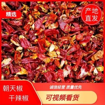 民勤高辣819朝天椒，优惠特卖，欢迎前来选购
