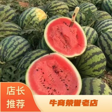 【优选货源】陕西西瓜大量上市中甜王西瓜产地发货量大从优
