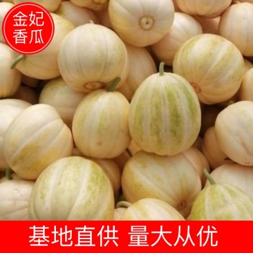【热销】吉林大安金妃香瓜大量上市现摘现发品质保证