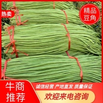 【豆角】山东豆角，长豆角大量上市，产地直发，质量保证