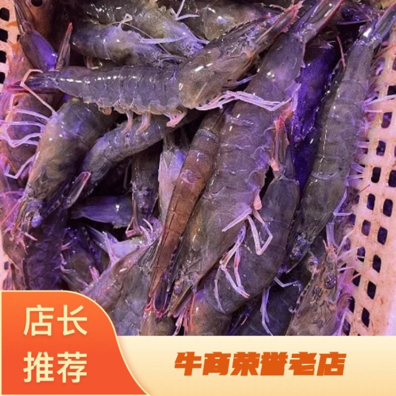热卖基围虾冷冻鲜活大量供应一件代发四斤基围虾青虾诚招代理