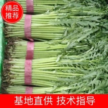 茼蒿高度25到40公分，粗细均匀，颜色好