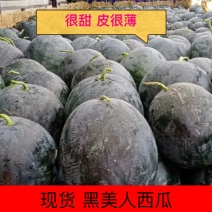 精选黑无籽西瓜品质好价格低诚信经营商超品质