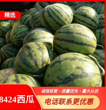 [8424西瓜批发]湖北省，襄阳市，宜城市8424精品西瓜大棚西瓜产地价格0.40元/斤 - 一亩田