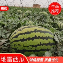 【诚信商家】东北吉林地雷西瓜品质保证视频看货