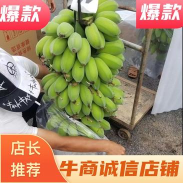 香蕉苹果蕉产地直销大量供货欢迎进店咨询