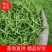 山银花金银花量大从优欢迎选购货源稳定充足，欢迎下单
