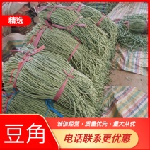 莘县万亩大棚豆角基地。量大，价格便宜，豆角条长，豇豆