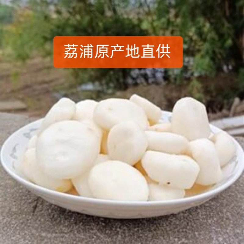 广西荔浦原产地荸荠去皮马蹄肉产地直供白马蹄