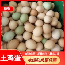 （热卖中）山东潍坊山鸡蛋土鸡蛋对接全国货源充足欢迎对接采