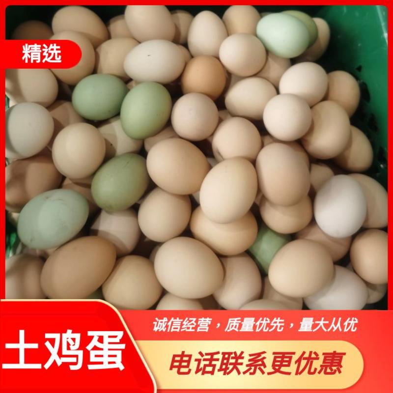 （热卖中）山东潍坊山鸡蛋土鸡蛋对接全国货源充足欢迎对接采