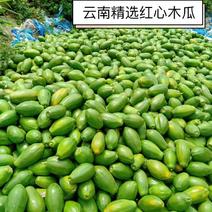 【精选】红心木瓜云南木瓜鲜果上市现摘现发优质货源