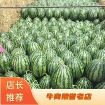 吉林陆地地雷产地直销。庆红。林峰。传奇霸主。新地。欢迎