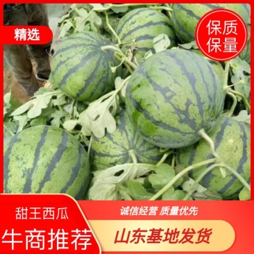 【热卖】甜王西瓜，皮薄多汁，瓜甜瓤红，不能错过量大优惠