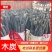 栗木炭，今年纯栗木新炭，无炭头，无碎沫，货源充足，欢迎咨询