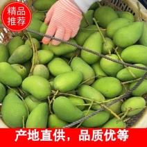 云南玉溪元江现台芒，欢迎电商平台及批发市场前来定购