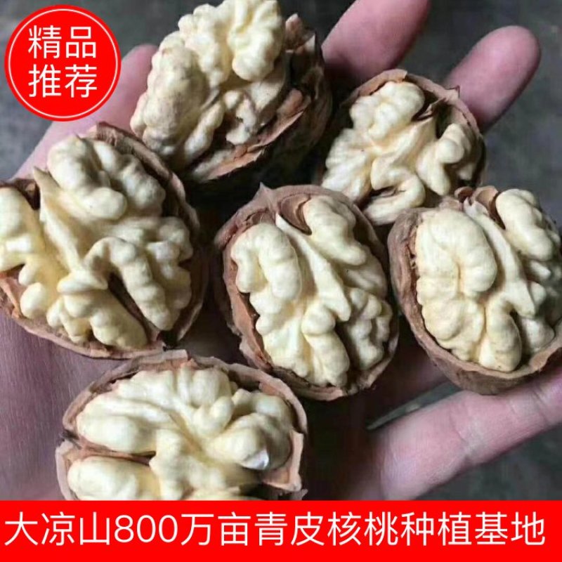 (新品上市)(热销)《产地直发》四川大凉山盐源县核桃