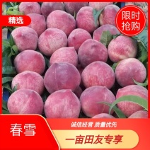 河北春雪毛桃，沙地水果，口感脆甜，欢迎全国各地老铁来订货