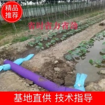 厂家直销浇地布水带，为老百姓提供方便，省时省力！超好用！