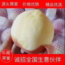 突围纸袋桃，春燕桃己经全面上市，产地直发中！