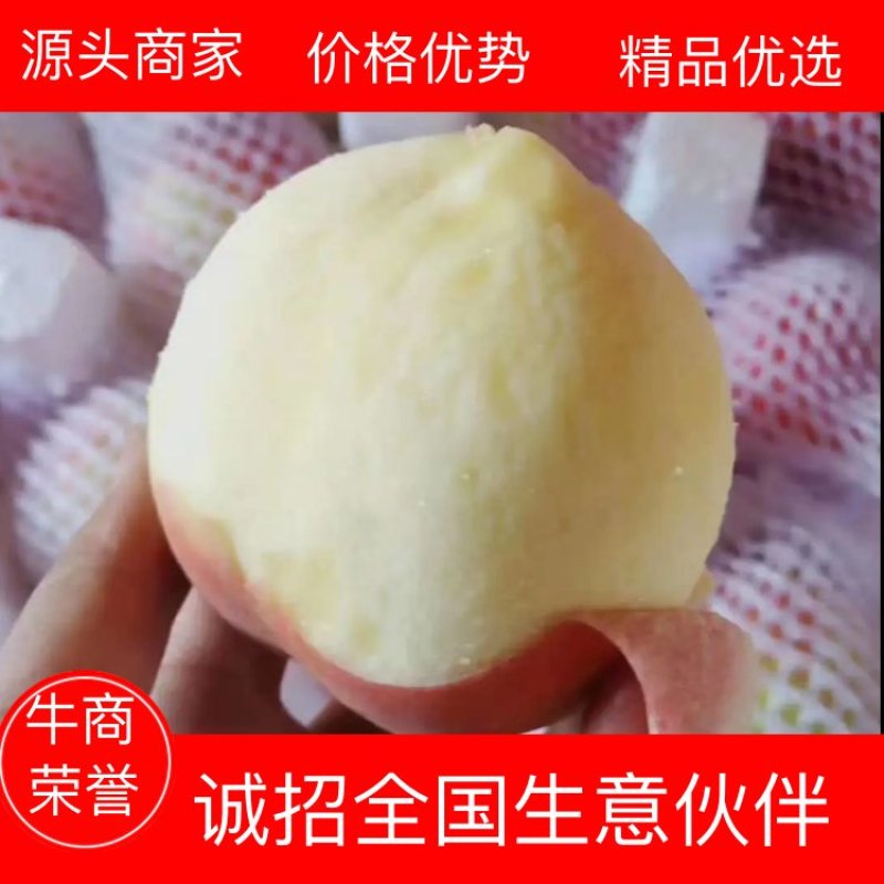 突围纸袋桃，春燕桃己经全面上市，产地直发中！