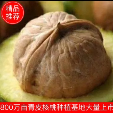 (新品上市)(热销)《产地直发》四川大凉山盐源县核桃