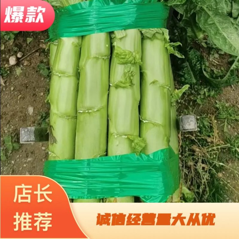 四川高原三青莴笋，皮青肉青，无空心无脱节，欢迎进店