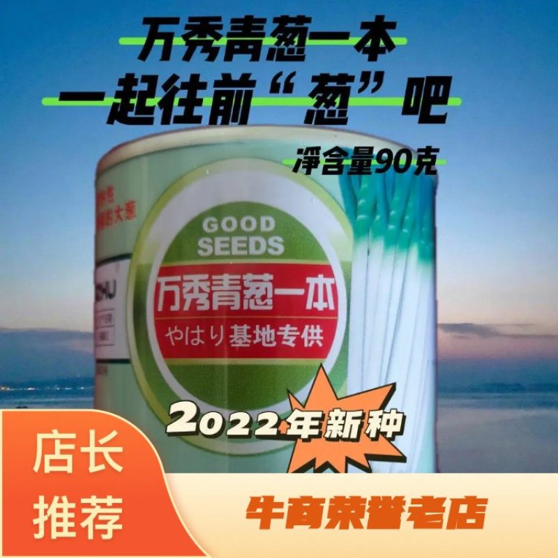 万秀青葱一本铁杆刚葱四季香葱一代种子厂家直销