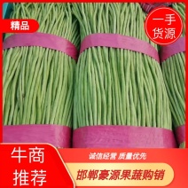 长豆角，豇豆上市中，产地直供，品质好，诚信第一，欢迎咨询