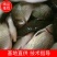 各种鱼苗齐全。成品齐全欢迎老板们合作量大从优欢迎各位老板