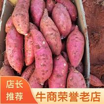 济薯26红皮黄心商品货电商货工厂货量大从优