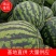 西瓜精品甜王大西瓜沙土地口感好，适合批发市场，超市等