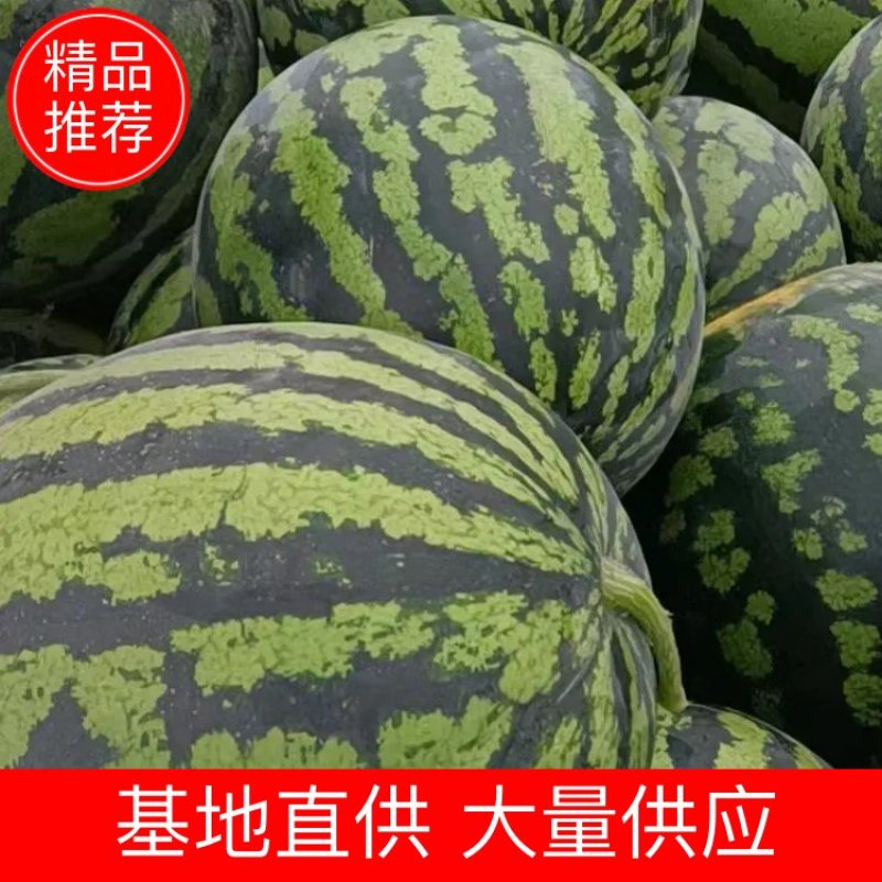 西瓜精品甜王大西瓜沙土地口感好，适合批发市场，超市等