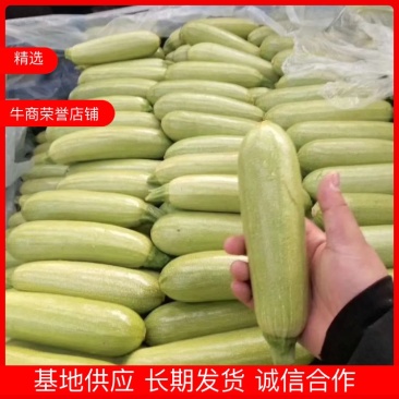 西葫芦工厂专用切瓜片大量供应加工厂！需要的联系大量有货！