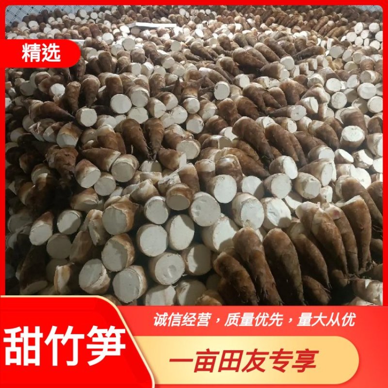 思茅甜笋精品优质甜竹笋货源充足量大从优，来电优惠