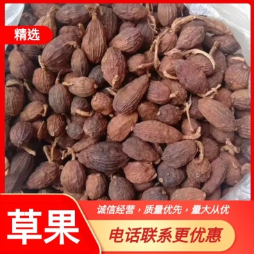 【热销中】云南精品草果产地直发货源充足欢迎咨询