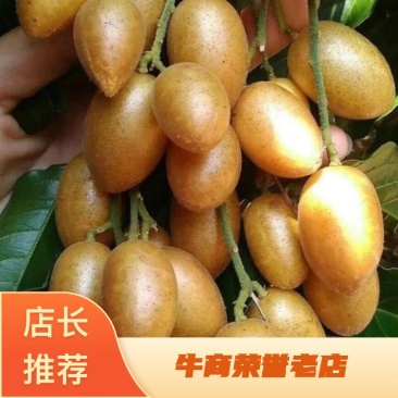 【荐】广西平南优质鸡心黄皮，甜皮，新鲜上市有须要的联系