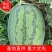 （热销）精品龙卷风西瓜大量上市中，瓜形好，量大优先，
