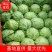 绿甘蓝，宣软甘蓝，韩绿，恒绿，中甘大量上市，欢迎来电咨询