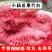 【精品】宁夏硒砂瓜大量上市大量供应批发电商【真实报价】